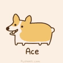 Ace Dog GIF - Ace Dog Cute GIFs