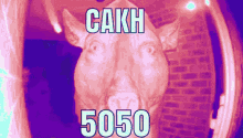 cakh5050 cakh