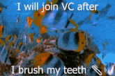 Fish Brush Teeth GIF - Fish Brush Teeth Vc GIFs