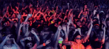 Concert Audience GIF - Concert Audience Crowd GIFs