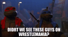 Tmnt Michelangelo GIF - Tmnt Michelangelo Didnt We See These Guys At Wrestlemania GIFs