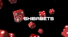 Shiba Shibabets GIF - Shiba Shibabets GIFs