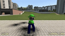 a screenshot of a video game with a character wearing a green hat and blue pants