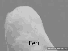 Eeti GIF - Eeti GIFs