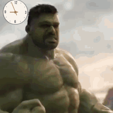 Hasanshabbir Hollywood GIF - Hasanshabbir Hollywood Hulk GIFs