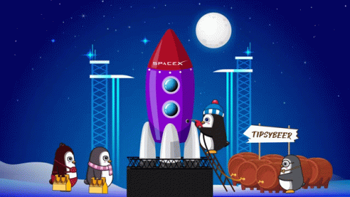 Spacex Penguins GIF - Spacex Penguins Rocket - Discover & Share GIFs