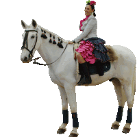 a woman in a pink and blue skirt is riding a horse