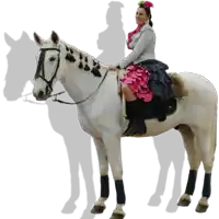 a woman in a pink and blue skirt is riding a horse