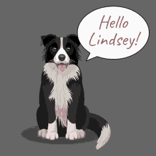 Hello Lindsey Hi Lindsey GIF - Hello Lindsey Hi Lindsey Howdy Lindsey GIFs