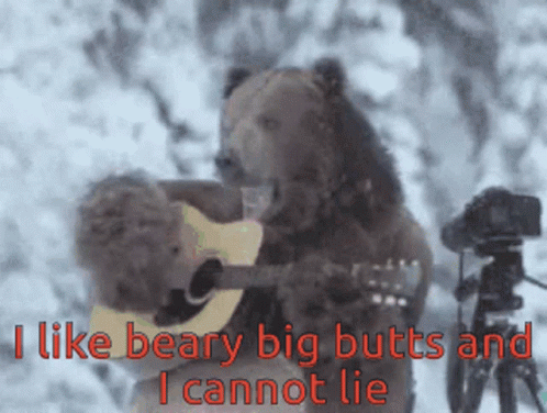 i-like-beary.gif