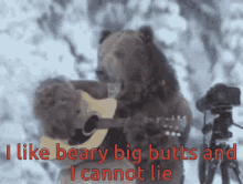 I Like Beary GIF - I Like Beary Big Butts GIFs