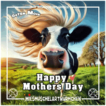 a picture of a cow with a happy mothers day message