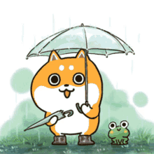 husky and shiba raining umbrella