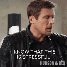 I Know That This Is Stressful Charlie Hudson GIF - I Know That This Is Stressful Charlie Hudson Hudson And Rex GIFs
