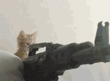 cat with machine gun gif