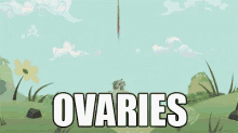 ovaries girls