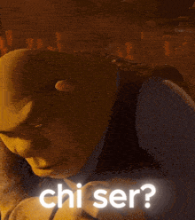 shrek from the movie shrek is smiling and asking " chi ser "