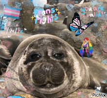 a picture of a seal with a butterfly and the words trans rights