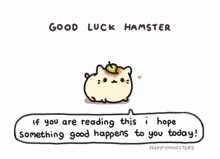 a cartoon of a hamster with an apple on its head and a message that says good luck hamster
