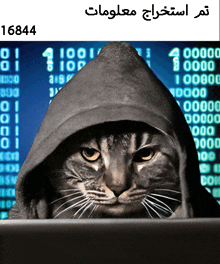 a cat wearing a hooded jacket with the number 16844 above it