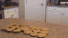 Dog Cookie GIF - Dog Cookie Jumping GIFs