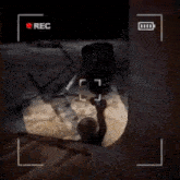 a video camera is recording a scene with the words rec on the top