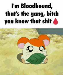 a hamster with a leaf in its mouth and the words i 'm bloodhound