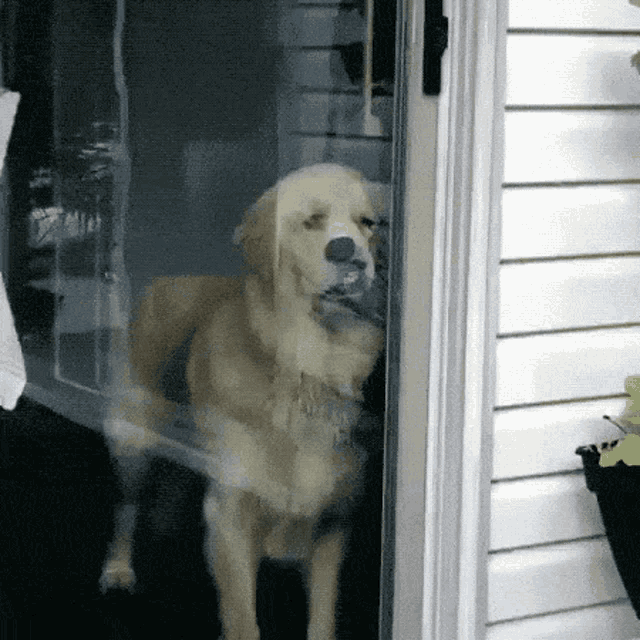 Stay Dont Go GIF - Stay Dont Go Where Are You Going GIFs