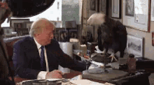 Donald Trump Trump GIF - Donald Trump Trump Eagle GIFs