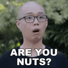 Are You Nuts Chris Cantada GIF - Are You Nuts Chris Cantada Chris Cantada Force GIFs