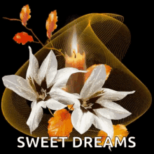 Sweet Dreams Sparkles GIF - Sweet Dreams Sparkles Flowers GIFs