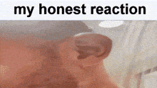My Honest Reaction My Honest Reaction Meme GIF - My Honest Reaction My Honest Reaction Meme My Honest Reaction To That Information GIFs