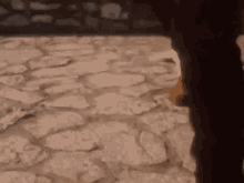 Steps Stepping GIF - Steps Stepping Dancing GIFs