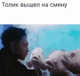 a picture of a man being kissed by a group of fish in a foreign language