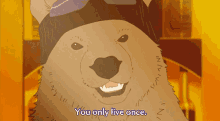 Wise Bear GIF - You Only Live Once Wise Bear Polar Bear Cafe GIFs