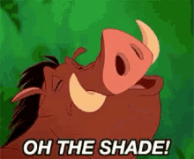 Oh The Shade Pumba GIF - Oh The Shade Pumba Timon GIFs