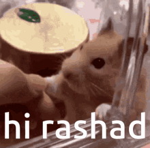 Rashad Hirashad GIF - Rashad Hirashad GIFs