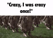 Crazy I Was Crazy Once Rubber Rats GIF