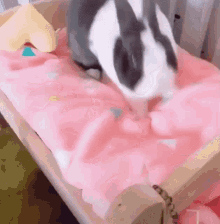 cute bunny bed