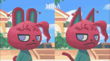 two pictures of a red cat with the name miua on the top