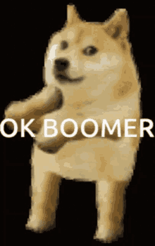 ok boomer doge dog dancing