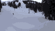 First Ski Jump Attempt GIF