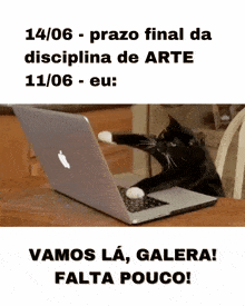 a cat is using an apple laptop with the date 14/06 on it