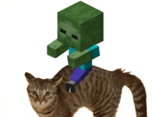 a cat with a minecraft character riding on its back