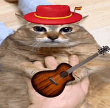 a cat is wearing a red hat and holding a guitar