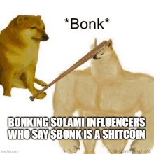 Bonk Bonk_inu GIF - Bonk Bonk_inu Solana GIFs