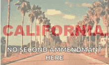a picture of palm trees with the words california no second amendment here