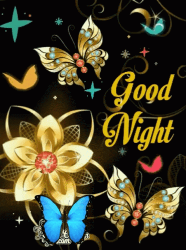 Good Night Butterfly GIF - Good Night Butterfly Sweet Dreams - Discover ...