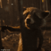 Rocket Raccoon Lylla GIF - Rocket Raccoon Lylla Its Good To Have Friends GIFs