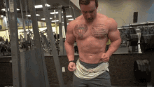 Strong Man Muscle Man Gif Strong Man Muscle Man Biceps Discover